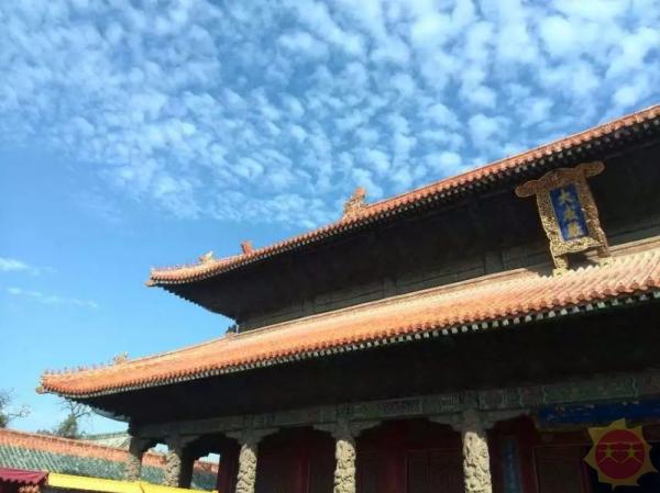 山东尊谊大会,领导与朋友共聚一堂