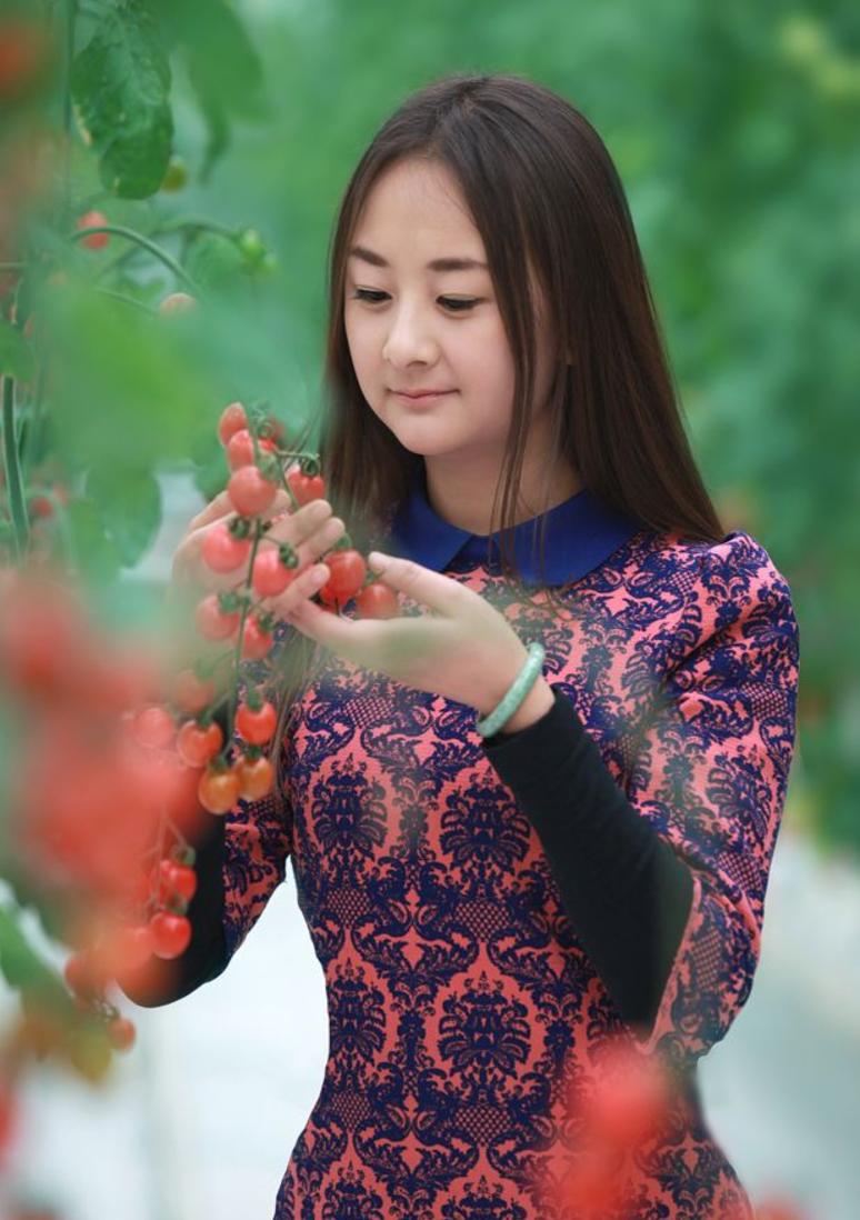 甘肃之旅,探寻古丝绸之路的深厚底蕴